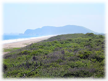 Zihua Bay - Gordon Krantz.